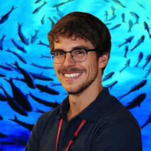 Foto de perfil de Gerard Llorach. Gerard está sonriendo. La foto tiene un fondo de peces que hacen una espiral ascendiente alrededor del perfil